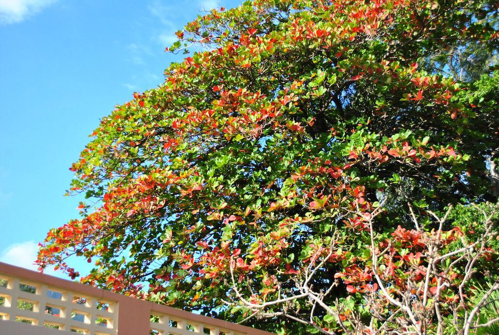 Hotel Imperial Cap-Haïtien Eksteriør billede